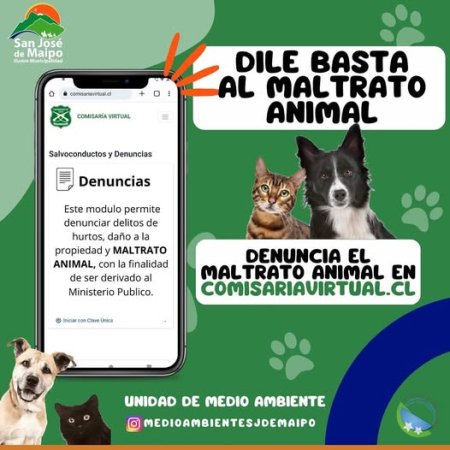 Rescatan a dos cachorros en situación de maltrato
