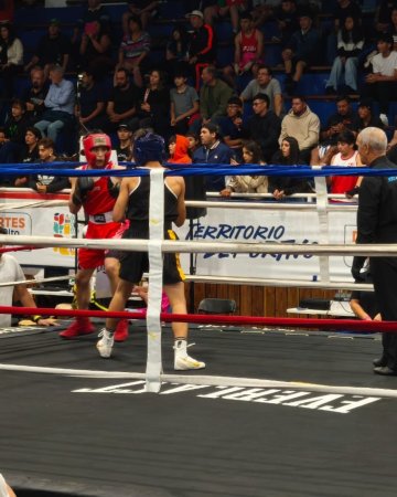Jóvenes de El Canelo destacan en la Copa Chile de Boxeo