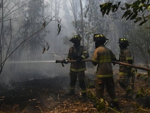 Incendios Forestales: Al menos 300 hectáreas consumidas en la región de Valparaíso