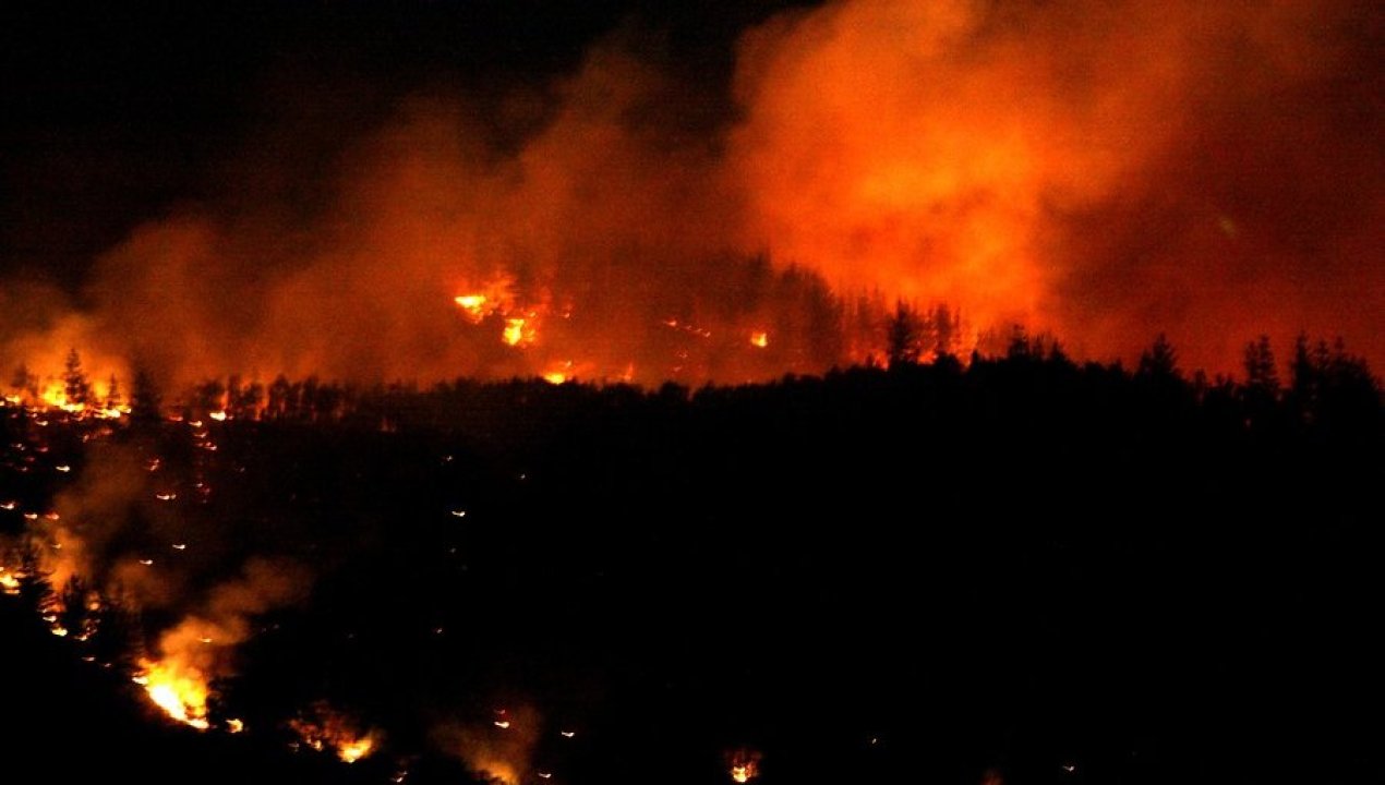 /regionales/region-de-ohiggins/senapred-declara-alerta-roja-por-incendio-forestal-en-litueche-al-menos