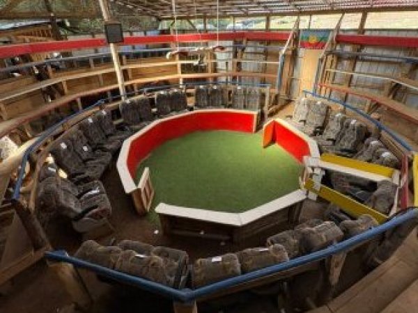 PDI desarticula centro de pelea de gallos en Arauco: Hubo 54 detenidos