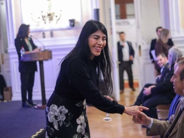 Por primera vez Institutos Profesionales y Centros de Formación Técnica podrán participar del FOVI