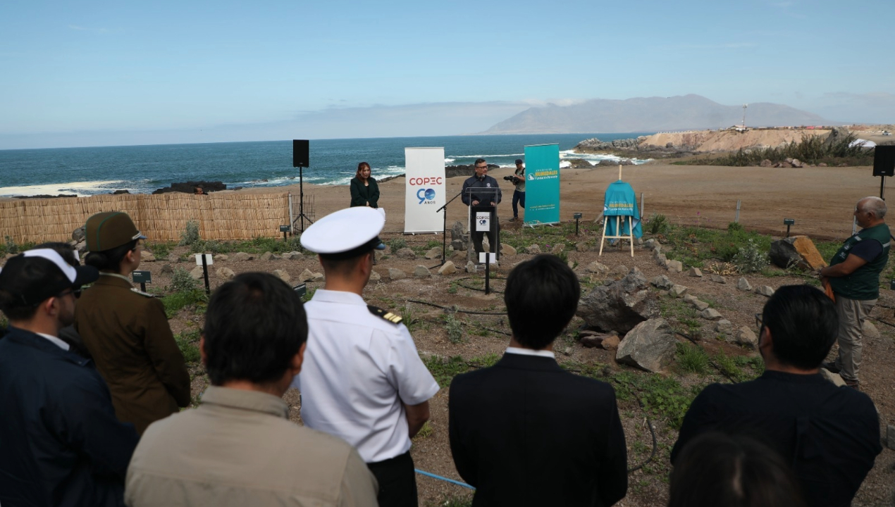 /municipalidad-de-antofagasta-reafirma-compromiso-con-humedales-tras
